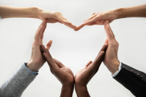 Heart diverse member