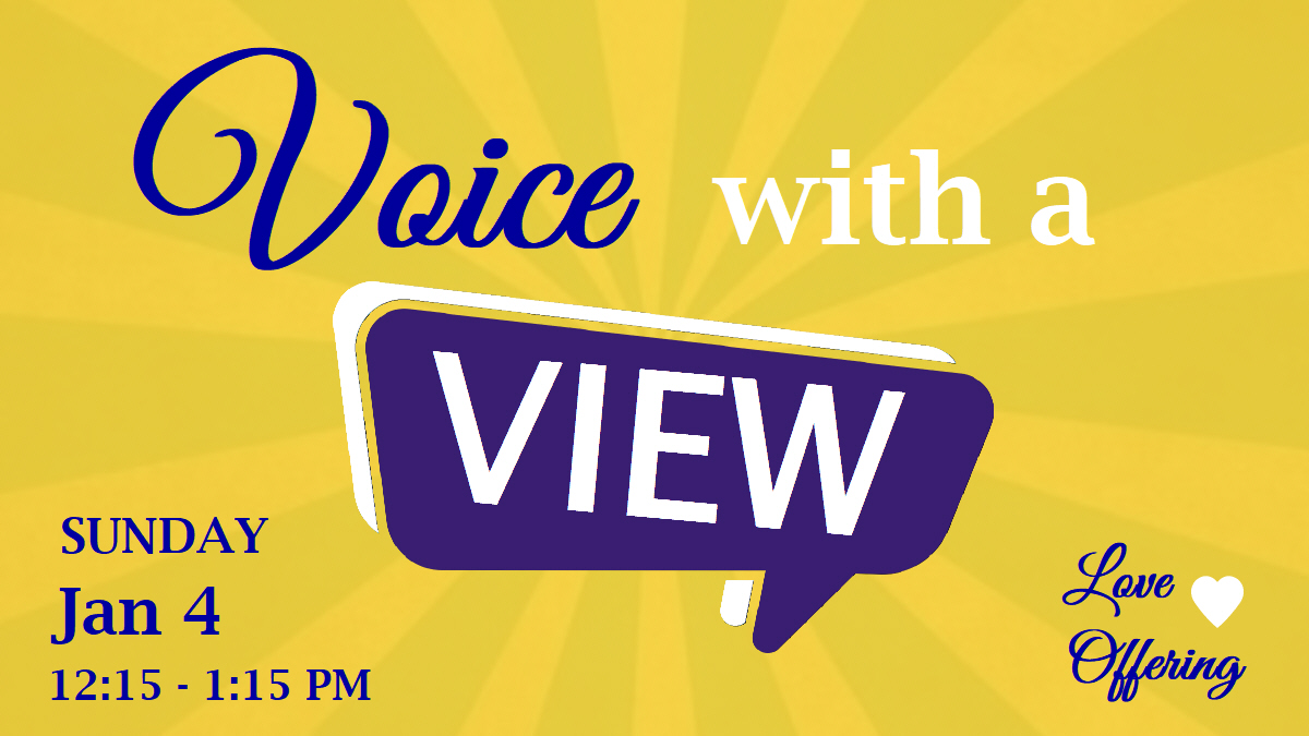 Voice view Jan